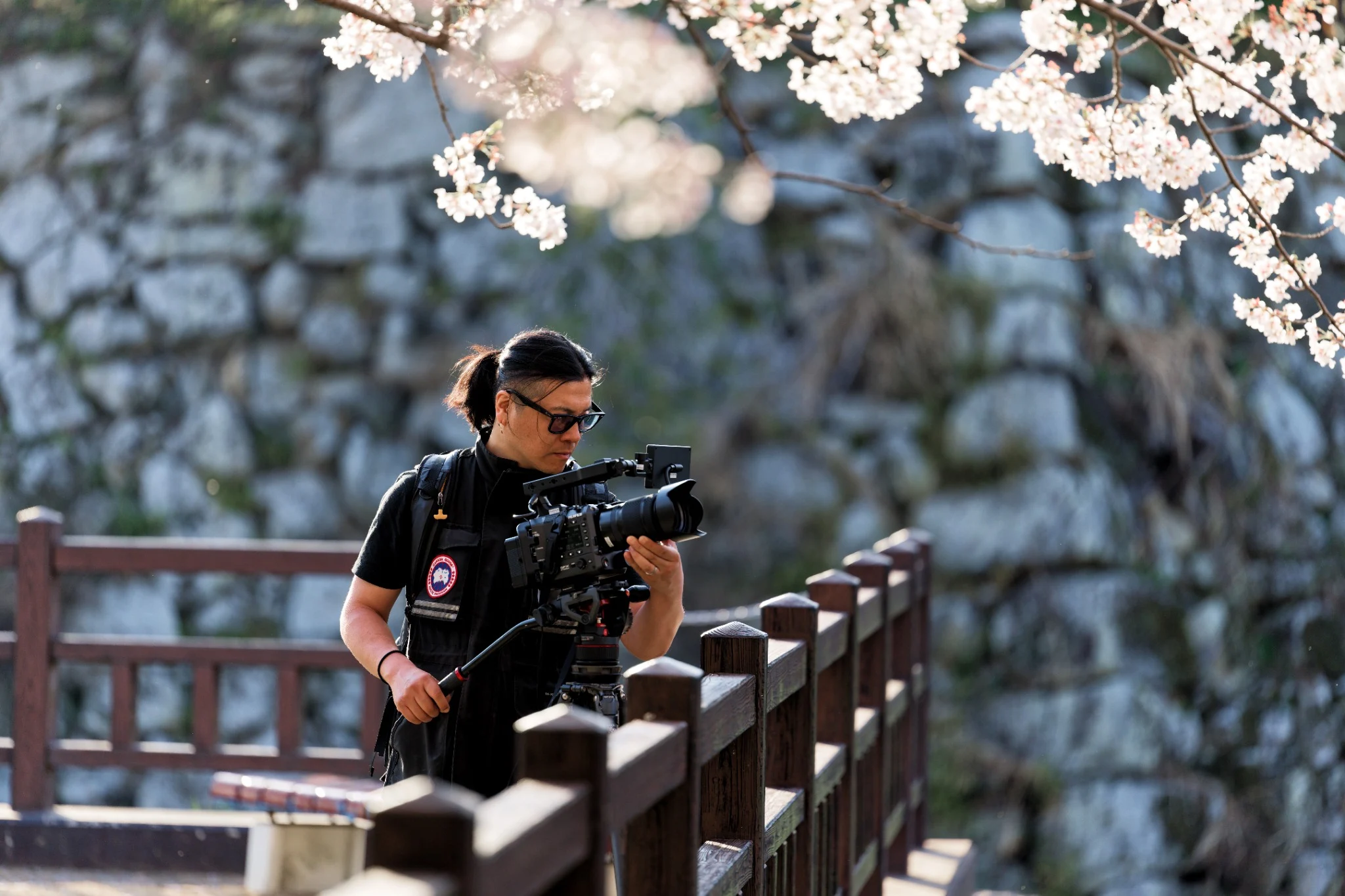 Masaki Hani operating a professional cinema camera beneath cherry blossoms