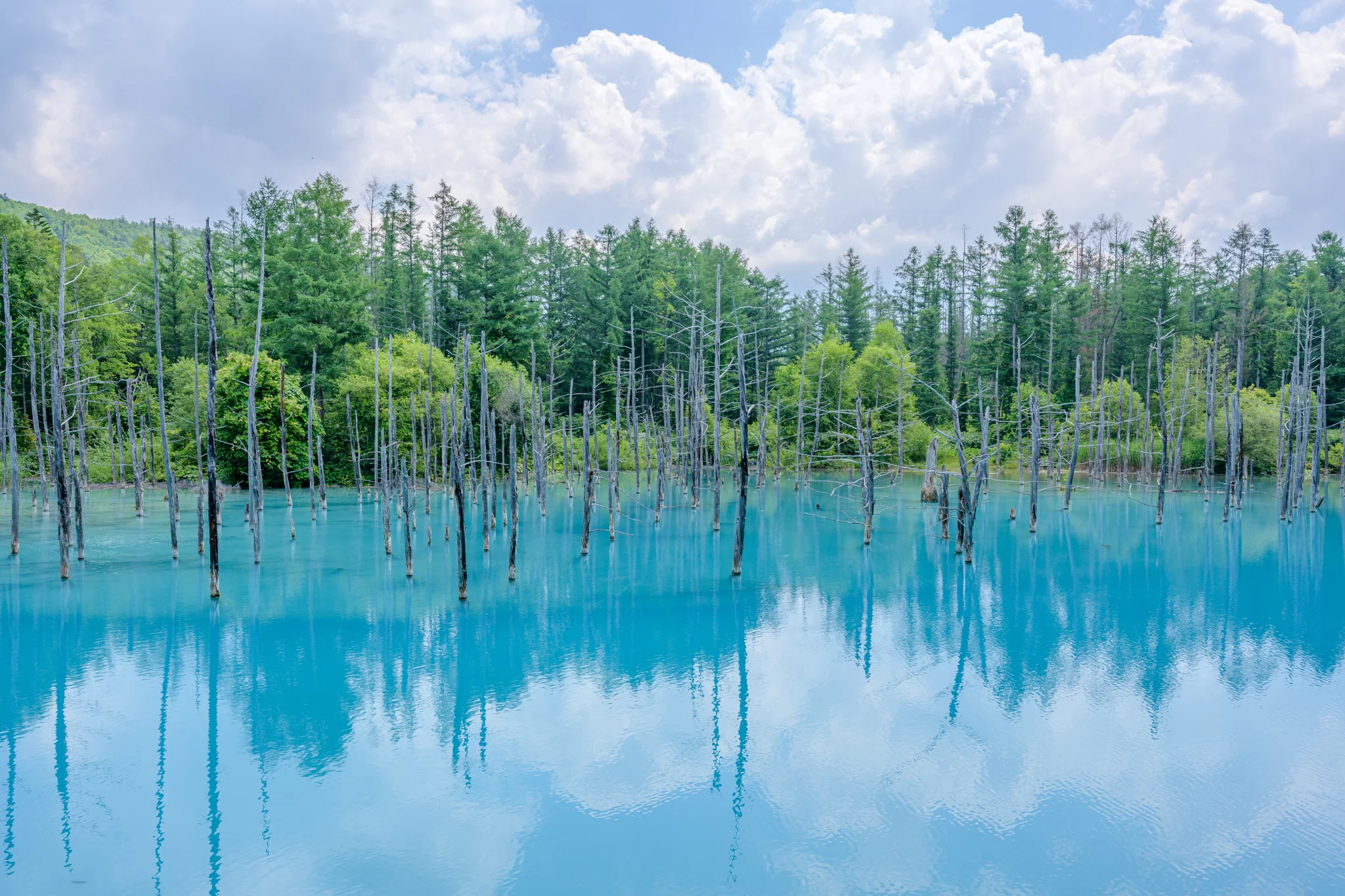 NATURE / BLUE POND